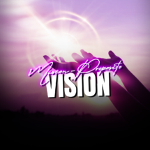 vision vision